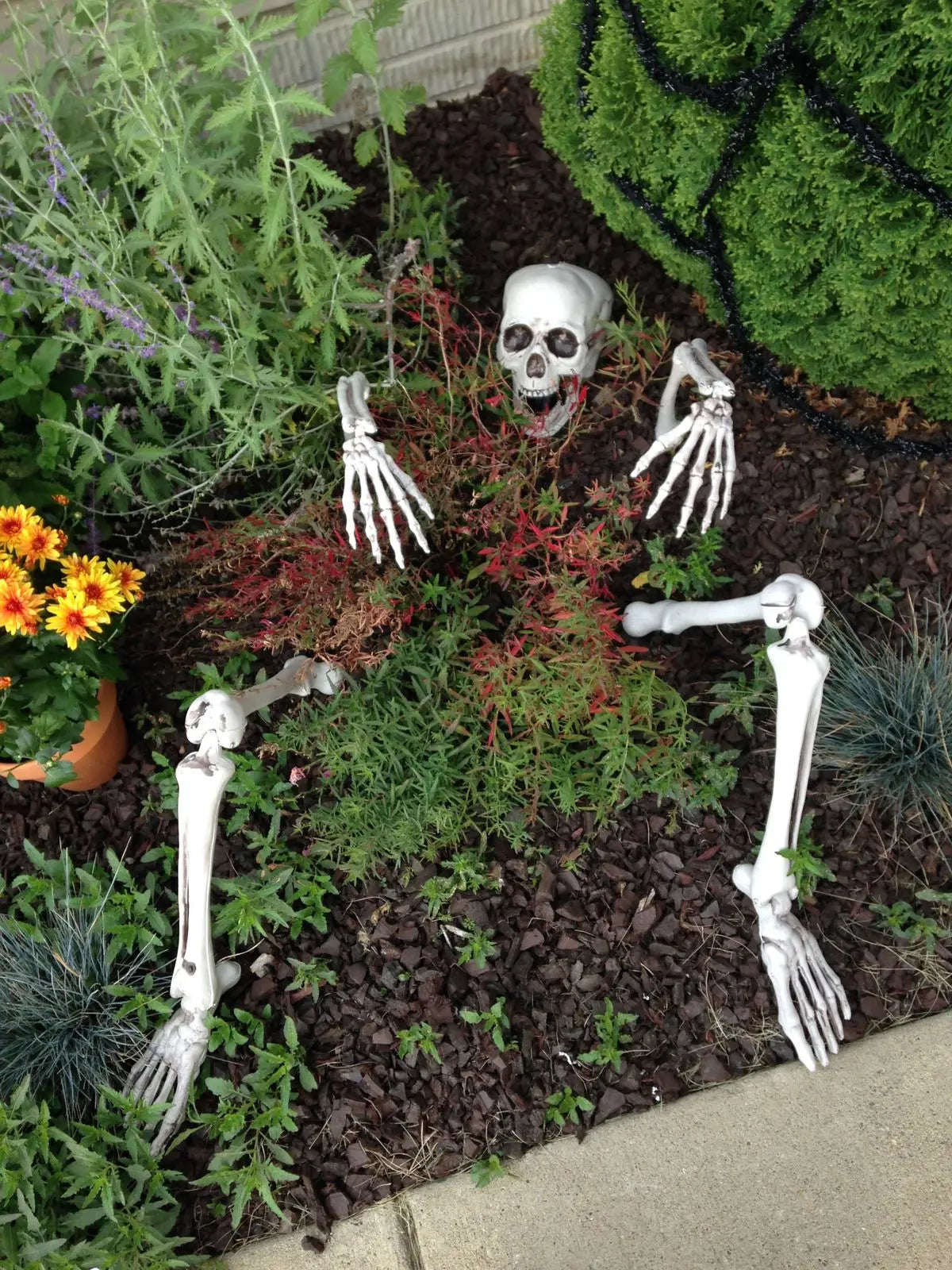 Halloween Skeleton Stakes Decor