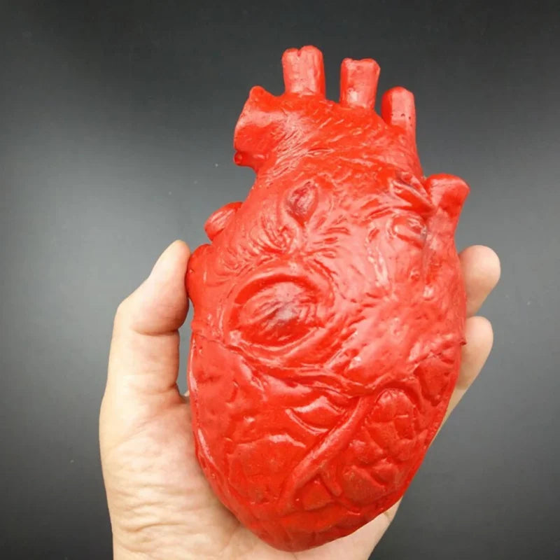 Fake Hand, Finger, Leg, Foot, Brain, and Heart